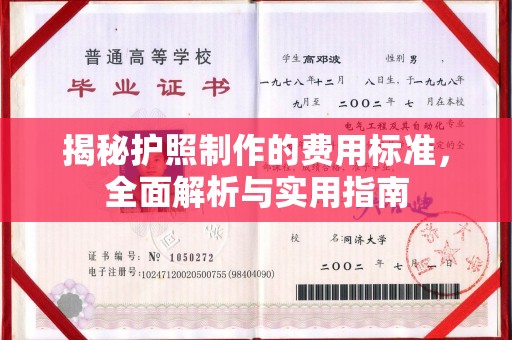 宁强揭秘护照制作的费用标准，全面解析与实用指南