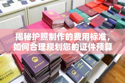 宁强揭秘护照制作的费用标准，如何合理规划您的证件预算