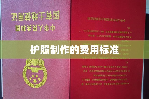 宁强护照制作的费用标准