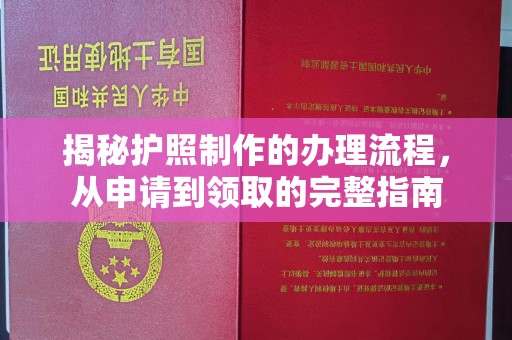 宁强揭秘护照制作的办理流程，从申请到领取的完整指南