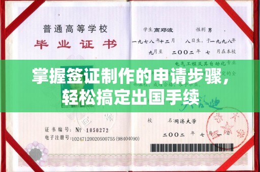 宁强掌握签证制作的申请步骤，轻松搞定出国手续