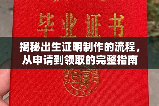 宁强揭秘出生证明制作的流程，从申请到领取的完整指南