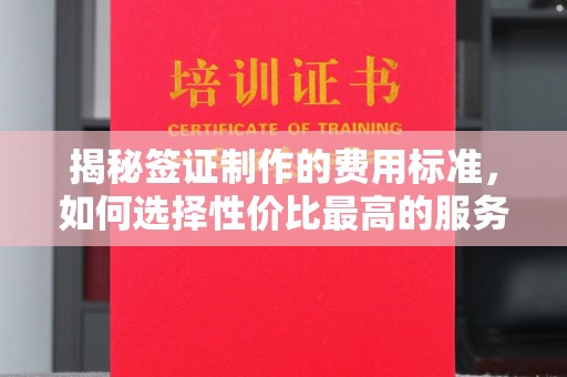 宁强揭秘签证制作的费用标准，如何选择性价比最高的服务？
