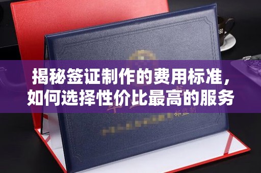 宁强揭秘签证制作的费用标准，如何选择性价比最高的服务？